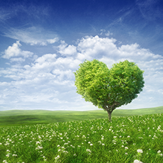 The Healing Heart | Shadow Dancing - Derek Rydall